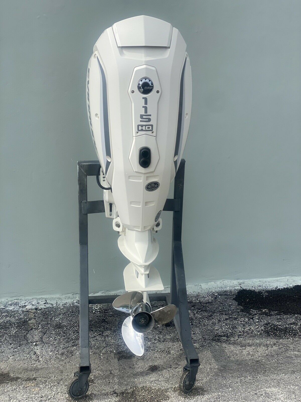 2020 Evinrude 115Hp E-Tec Ho 2-Stroke Outboard Motor - Image 2