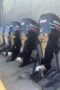 Pair 2010 Suzuki 200hp 4 Stroke 25” Outboard Motor