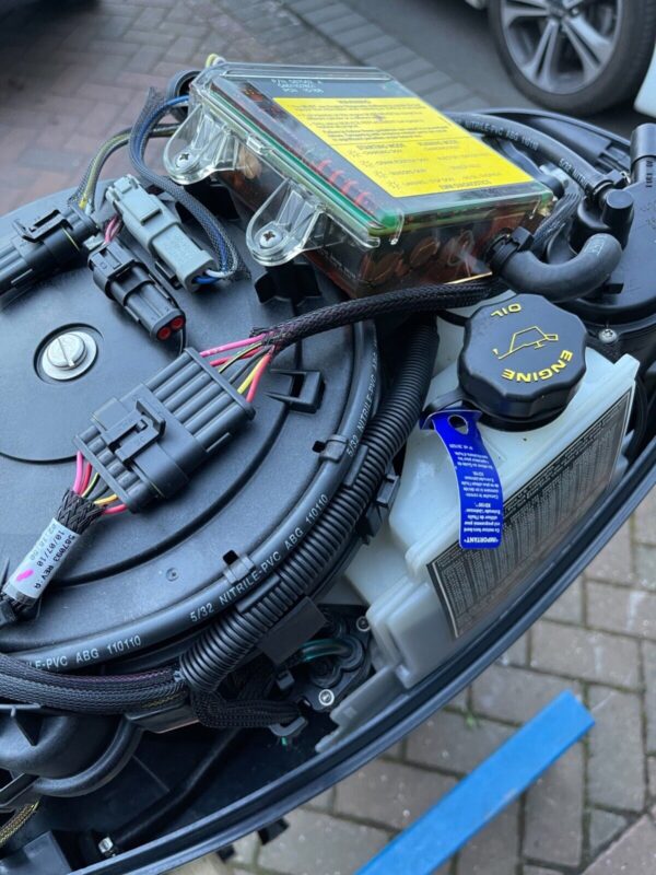 2012 Evinrude Etec 30HP 2-Stroke Outboard Motor - Image 3