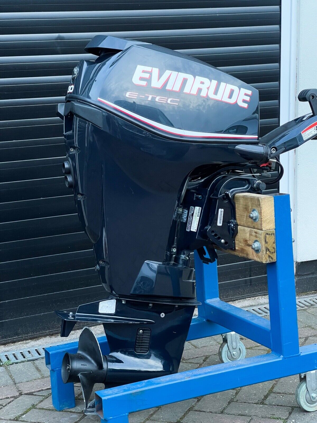 2012 Evinrude Etec 30HP 2-Stroke Outboard Motor - Image 2