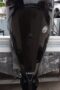 2015 Mercury 115 HP EFI 4-Stroke 25” Outboard Motor